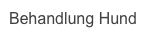 Behandlung Hund