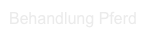 Behandlung Pferd