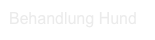 Behandlung Hund