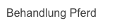 Behandlung Pferd